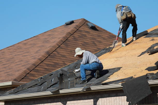 Best Roofing for New Construction  in East Palatka, FL